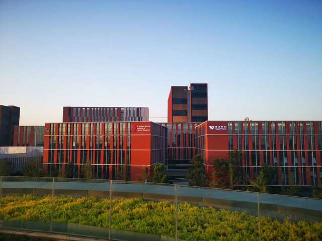 山东单面离型膜供销